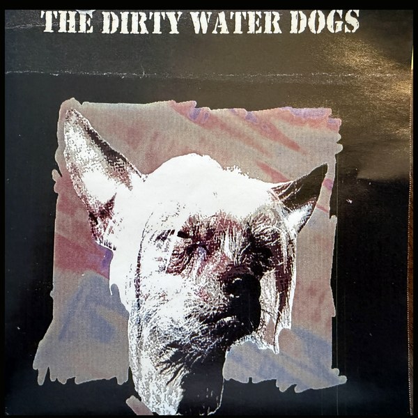 The Dirty Water Dogs cover
